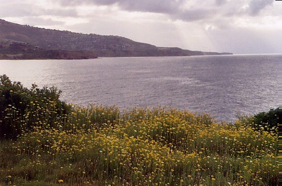 View looking south from Long Point, Palos Verdes, 3/24/2005