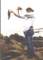 Dufish caught a 2lb sand bass while using mussel on 8lb test from Crescent bay rocks, 5/2002
