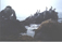 Opaleye Point occupied by various sea life, 2/8/1999