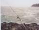 The bait-on-the bottom rig Dufish uses when he fishes from rocks, 6/2/2003