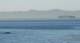 Zoom in of ship as seen from the bluff trail at the end of Hawthorne Blve. Palos Verdes 10/07.