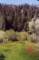 meadow01_small.jpg