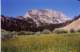 meadow02_small.jpg