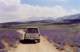 road0014_small.jpg