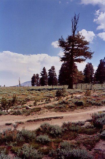 road0018.jpg