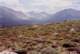 road0021_small.jpg