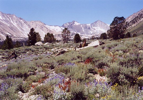 road0023.jpg
