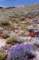 road0024_small.jpg