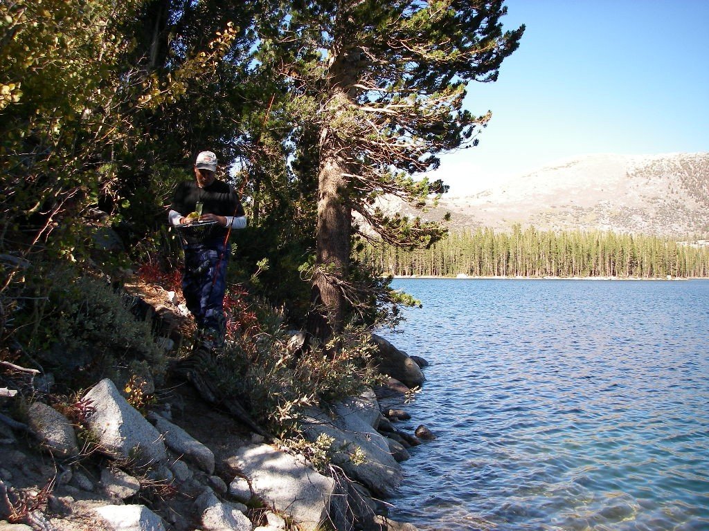 sierra010.jpg