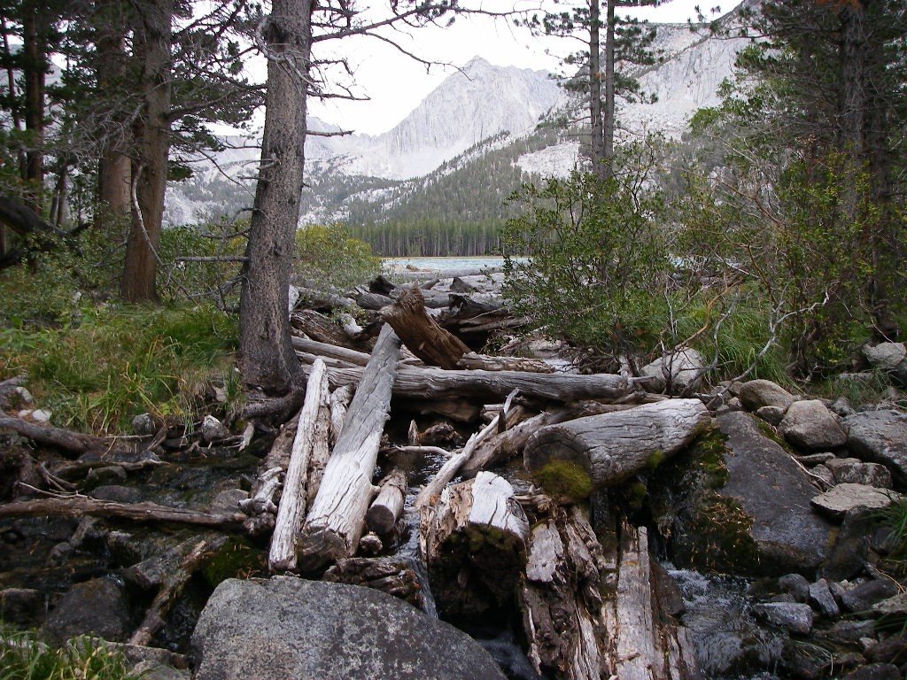 sierra014.jpg