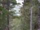 sierra015_small.jpg