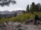 sierra017_small.jpg