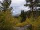 sierra018_small.jpg