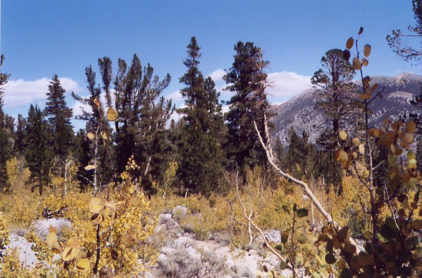sierra024.jpg