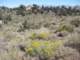 sierra080805_small.jpg