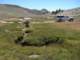 sierra080809_small.jpg