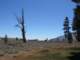 sierra080810_small.jpg