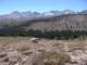 sierra080814_small.jpg