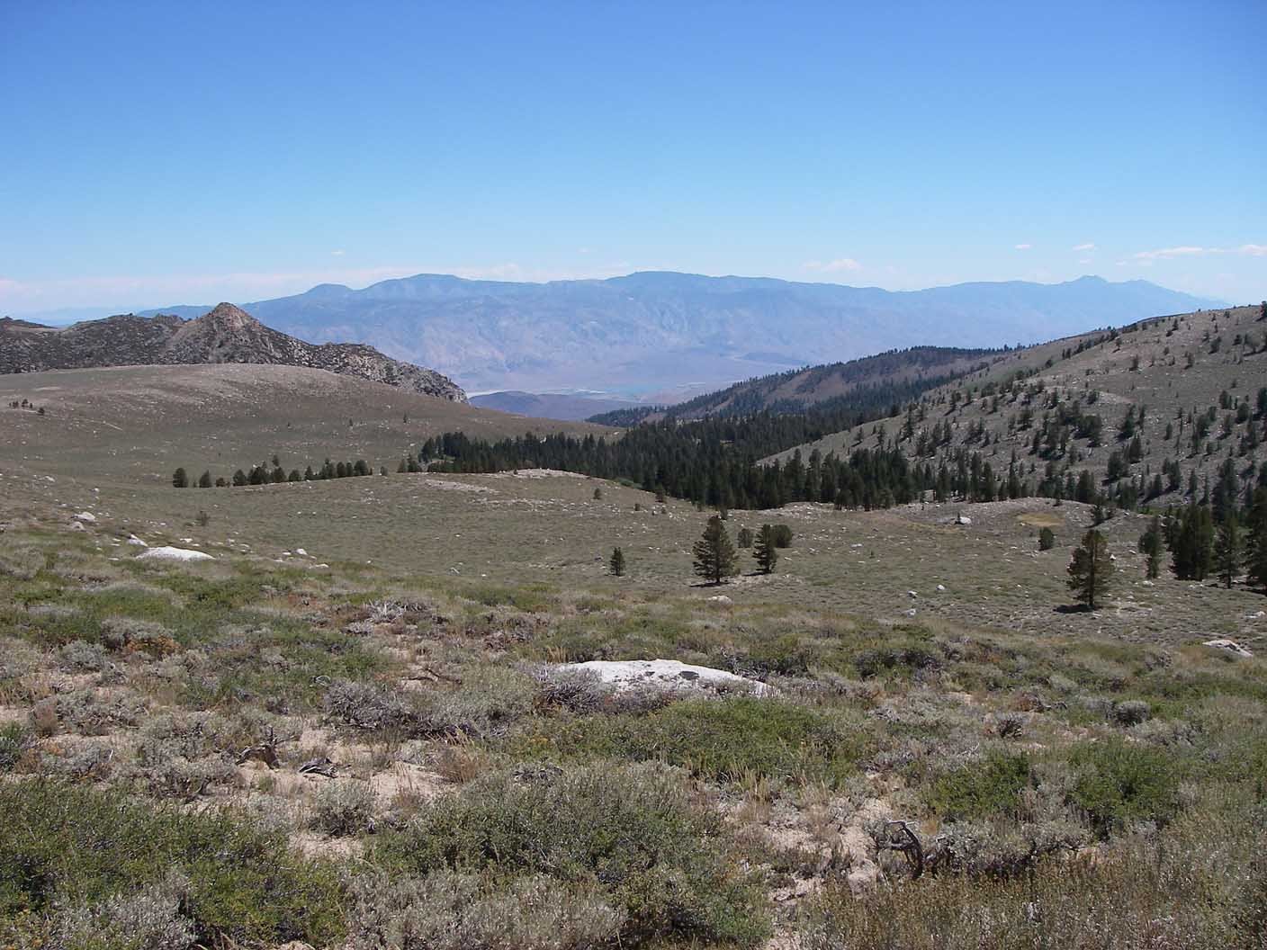 sierra080816.jpg