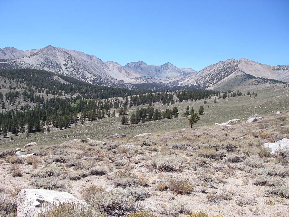 sierra080817.jpg