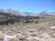 sierra080817_small.jpg