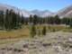 sierra080818_small.jpg