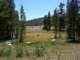 sierra080819_small.jpg