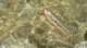 sierra080826_small.jpg