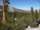 sierra080840_small.jpg
