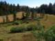 sierra080844_small.jpg