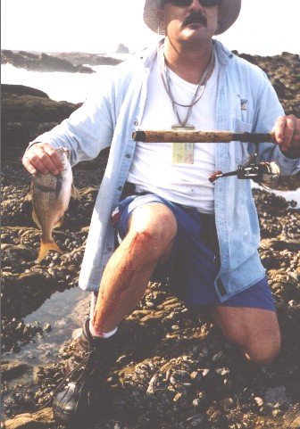 Dufish cut his shin when he slipped on the rocks while reeling in this sargo near Emerald Bay, 7/2000
