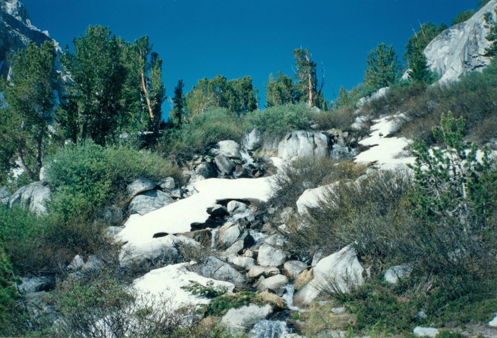 stanford199301.jpg