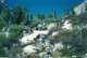 stanford199301_small.jpg