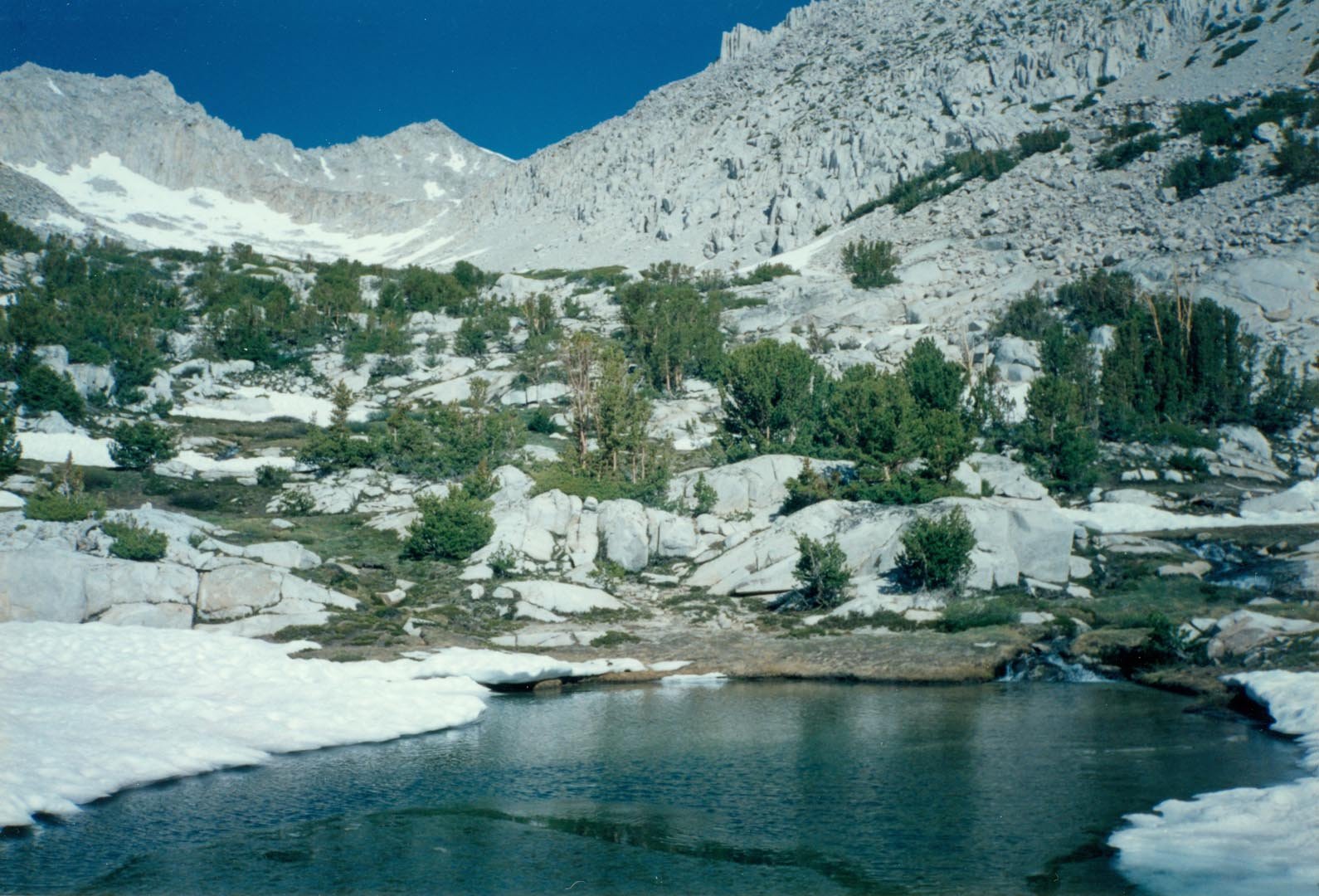 stanford199302.jpg