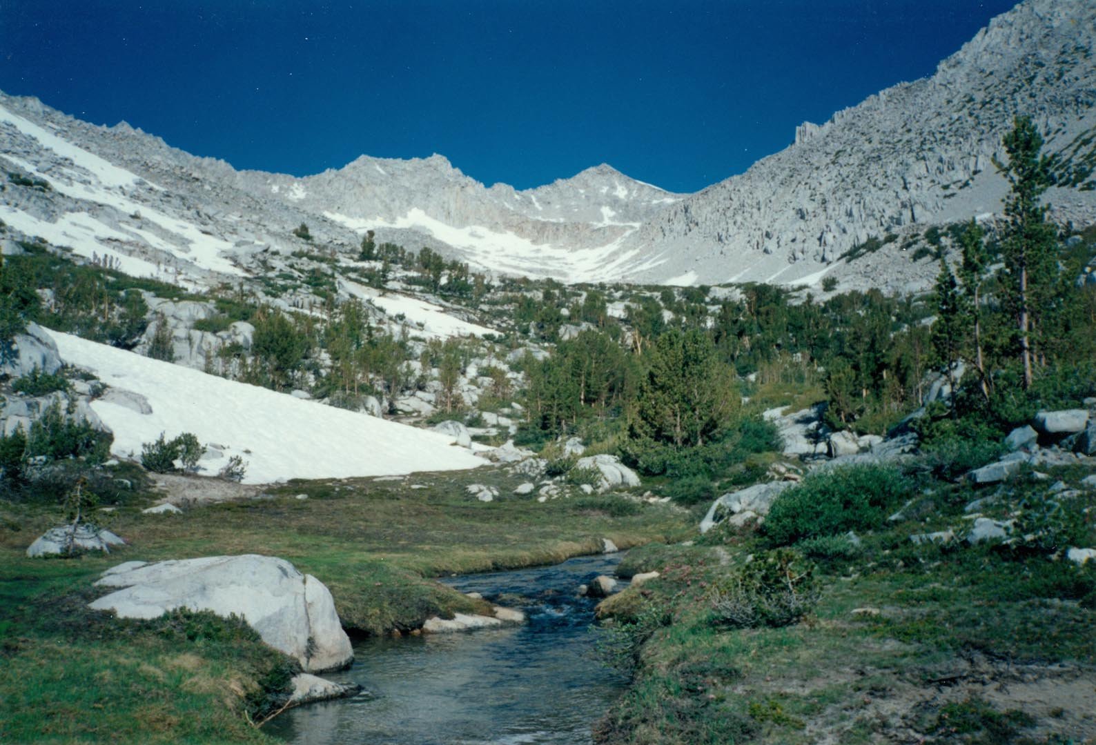 stanford199304.jpg