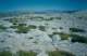 stanford199315_small.jpg