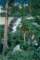 stanford199320_small.jpg