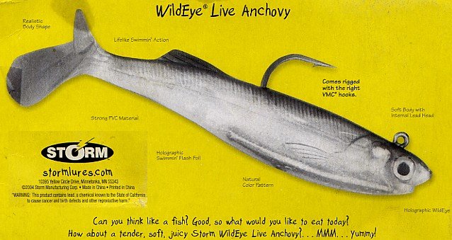 wildeyea.jpg