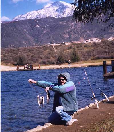Dufish caught these 4 trout at Yucaipa Park using Power Bait and salmon eggs, 12/23/2002