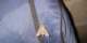 imgp0883_small.jpg