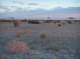 imgp0888_small.jpg