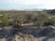 imgp0895_small.jpg