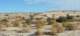 imgp0899_small.jpg