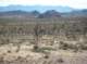 imgp0904_small.jpg