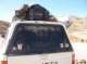 imgp0911_small.jpg