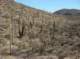 imgp0913_small.jpg