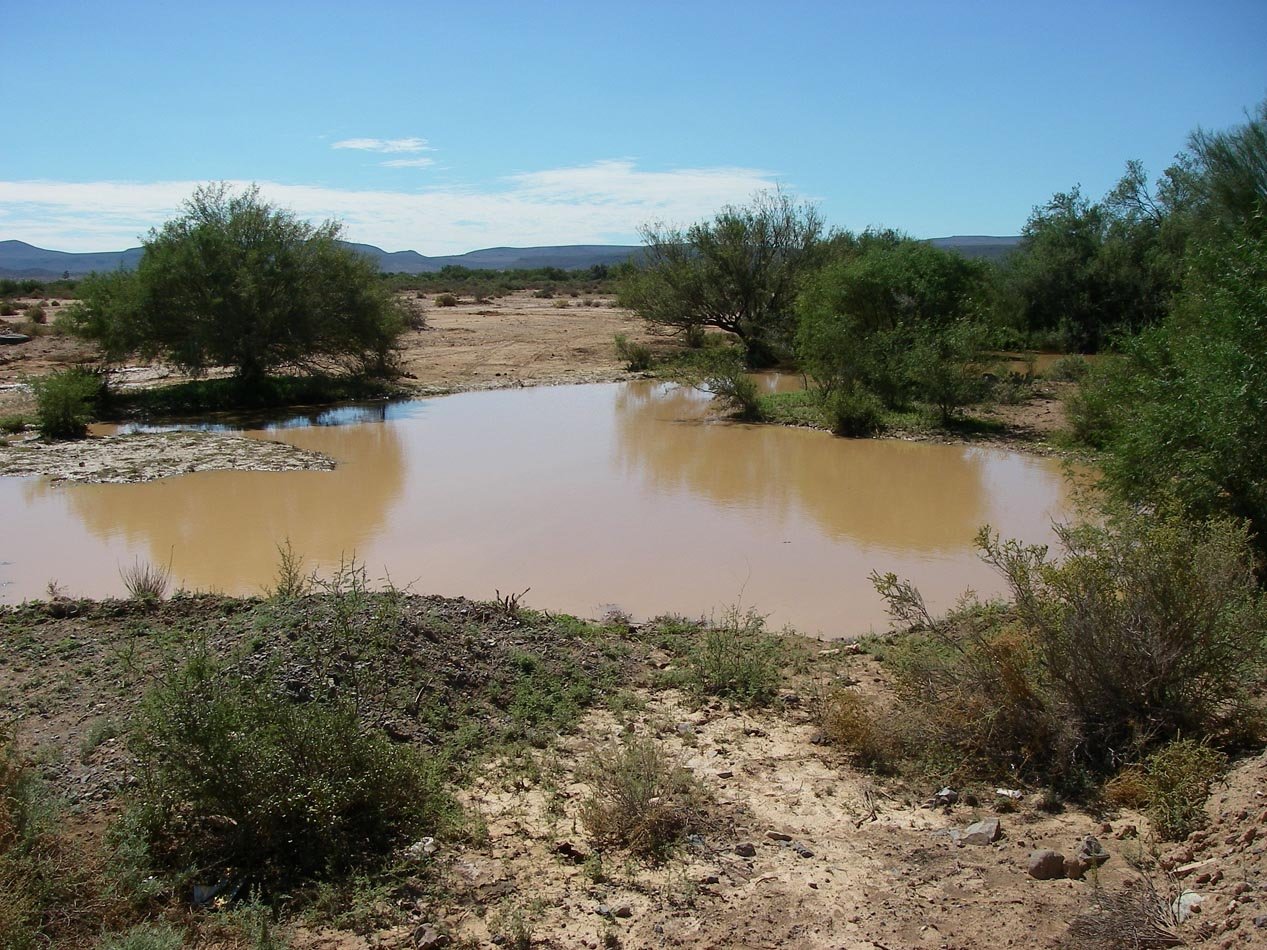 imgp0914.jpg