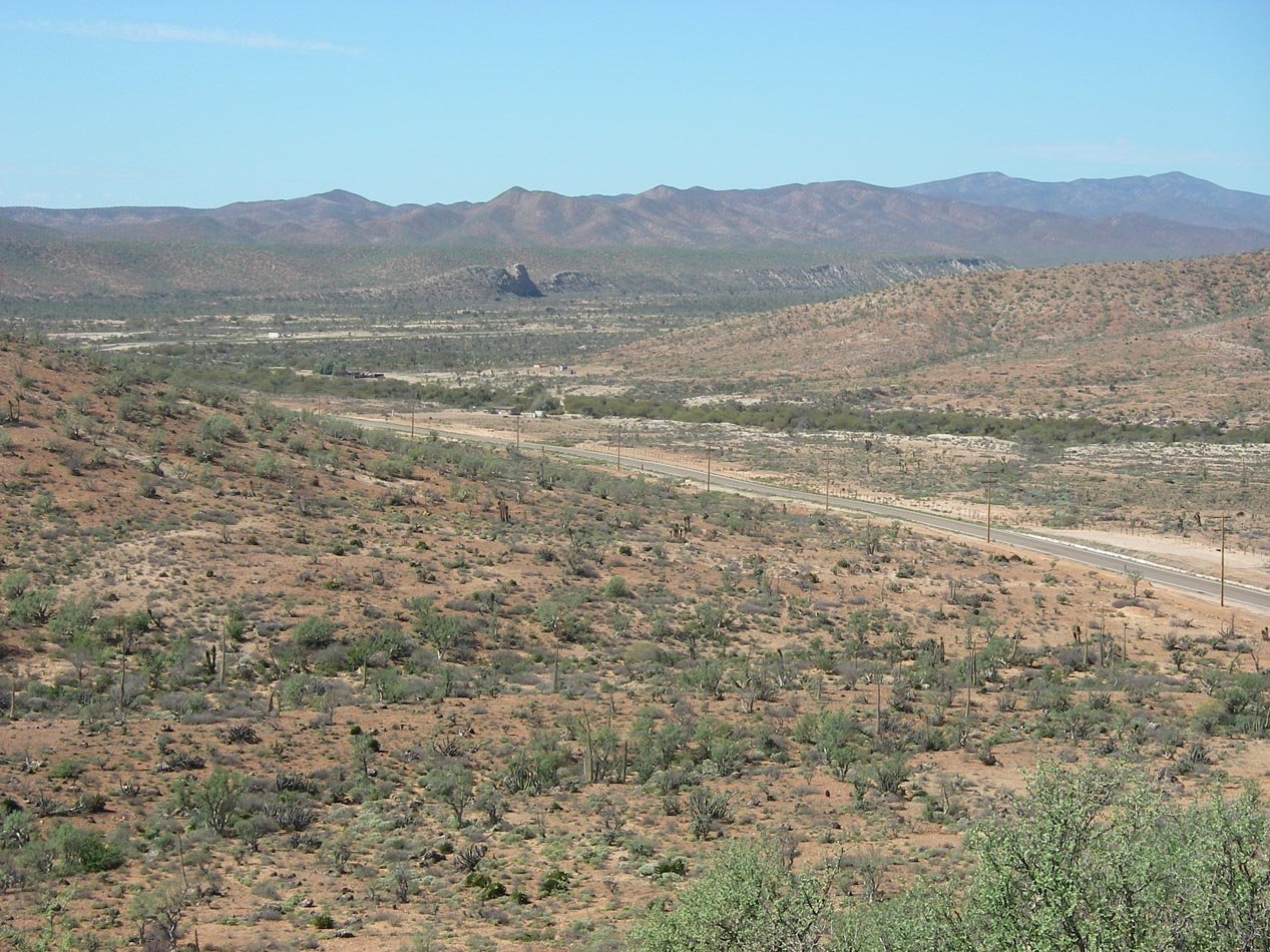 imgp0918.jpg