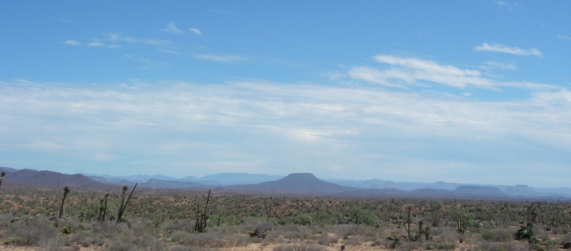 imgp0921.jpg