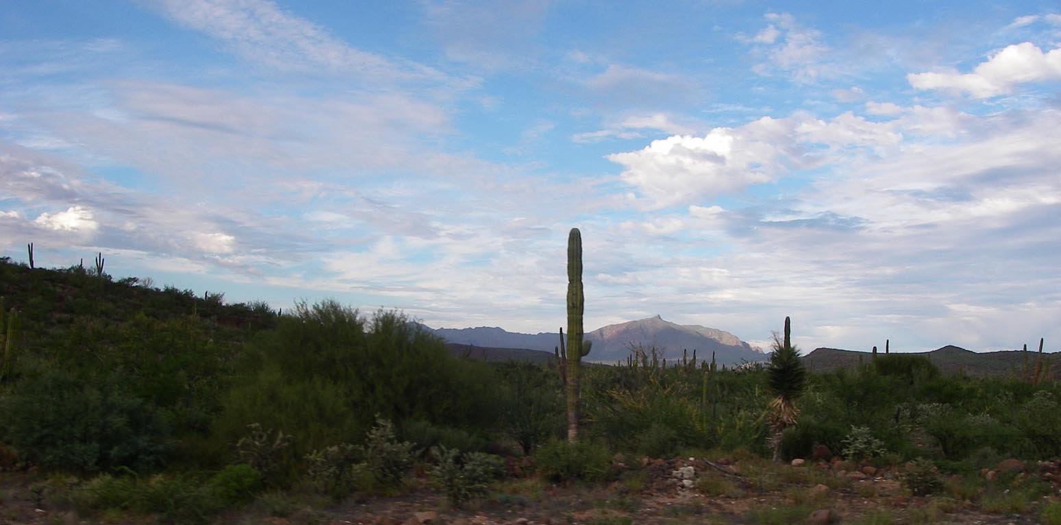 imgp0928.jpg